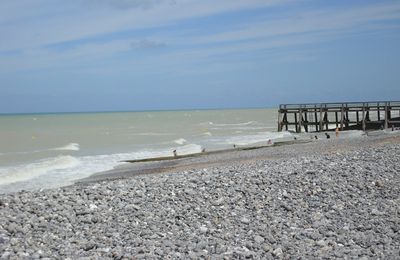 Promenade le long de la Veules ...