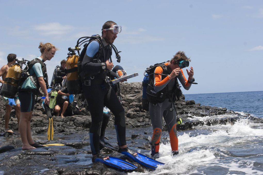 Méthode de suivi environnemental au Cap la Houssaye (Réunion) permettant d’évaluer l’état de santé d’un récif et de détecter des changements
écologiques liés à des perturbations naturelles ou humaines.