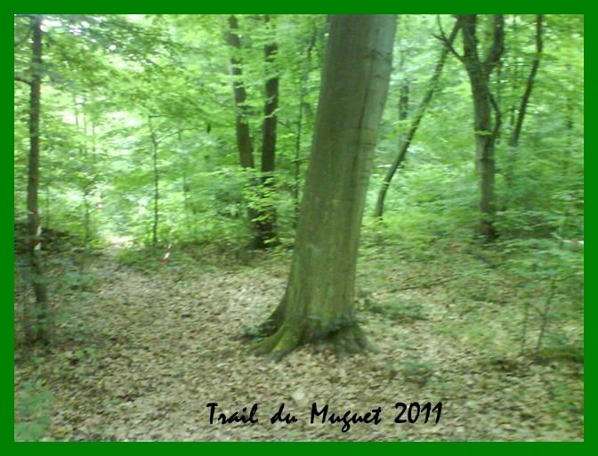 Album - TRAIL-DU-MUGUET-2011-Parcours