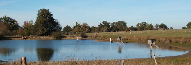 couleurs d'automne entre Isle et Double