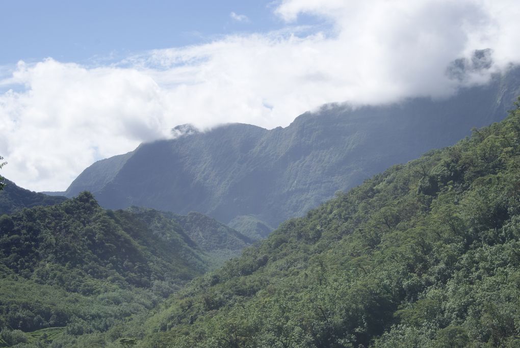 Album - Mimi, Traversée de Tahiti