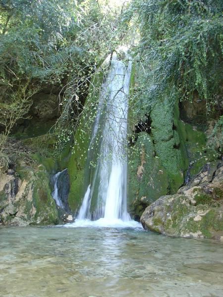 Magnifique cascade dans les Pyrénées avec un petit air d'Amazonie...