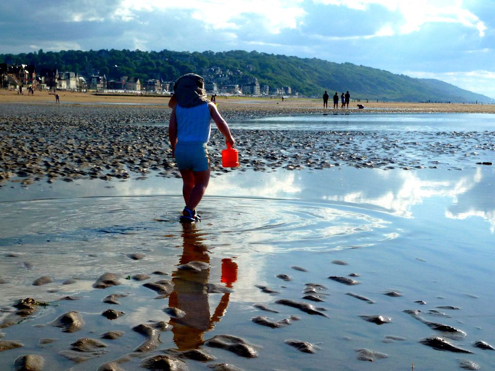 Basse-Normandie,2012