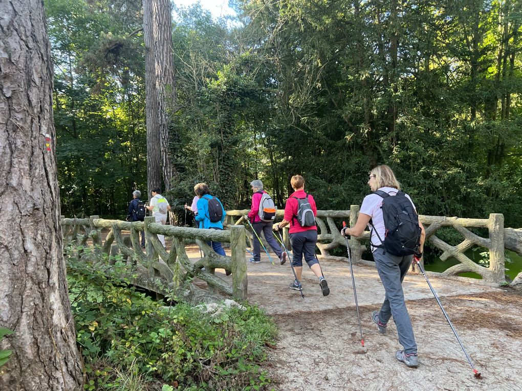 Marche Nordique au Bois de Vincennes - 7,1 km.