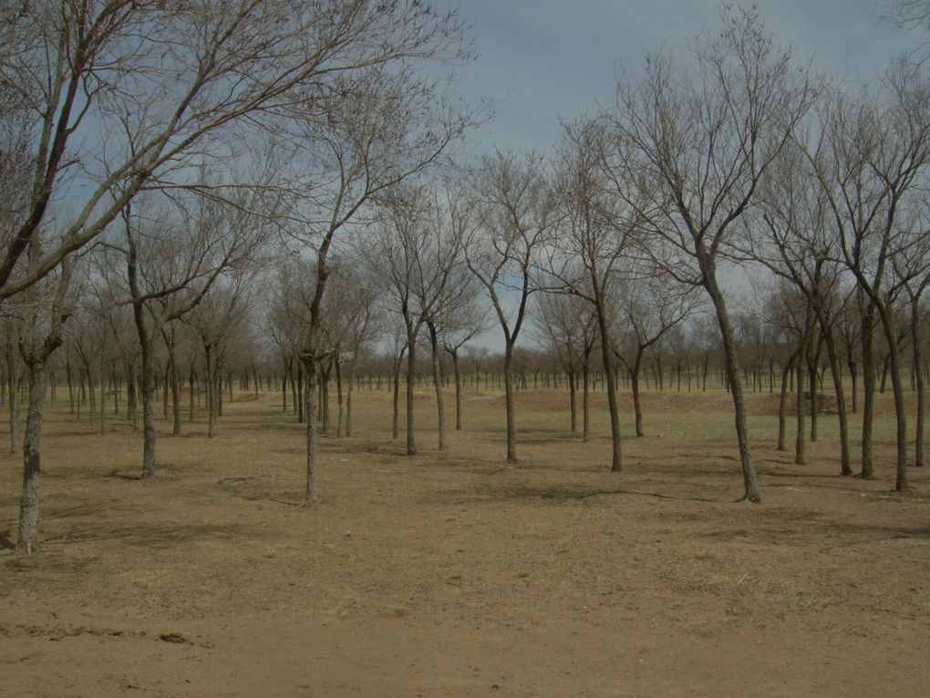 Nord-ouest du Hebei et Mongolie intérieure, mai 2013.
Mongolie intérieure et Mandchourie, été 2010