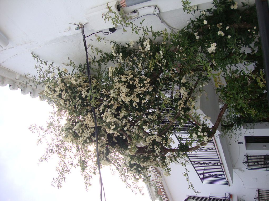 MIJAS et ses ruelles fleuries.