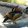 Album - 147_Spa--im-Vogelpark