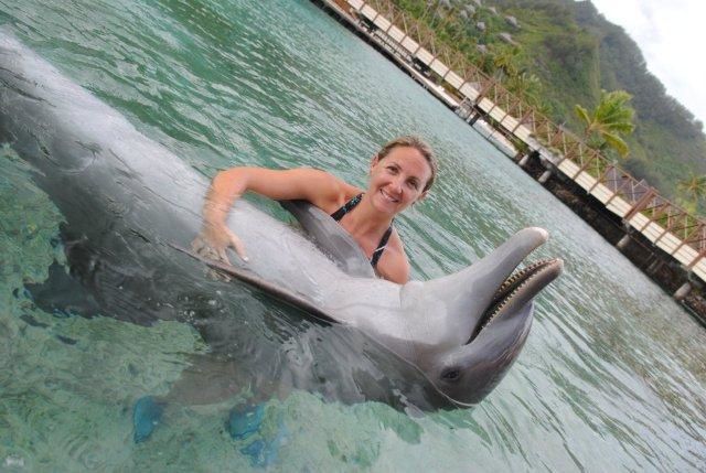 photos de dauphins en captivité à l'intercontental de Mooréa: idéal pour les enfants...