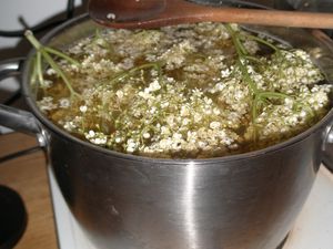 Making elderflower cordial