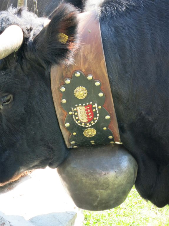 Balades en Valais