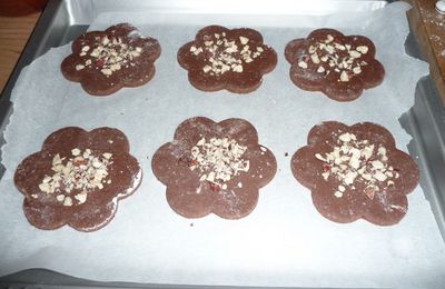 biscuits sablés choco-noisettes