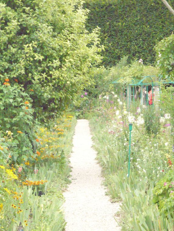 Album - Jardin de Claude Monet à Giverny