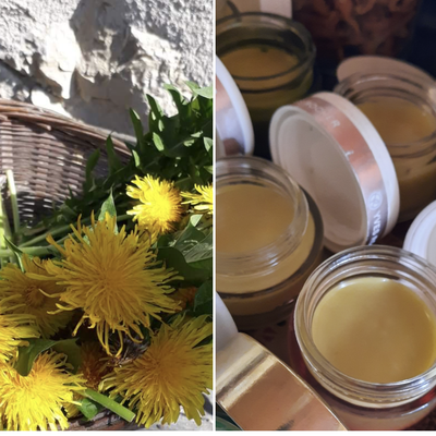 Pissenlit : le baume soin et beauté 