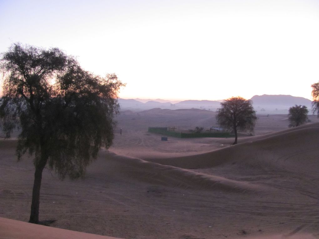 Quelques photos de nos escapades dans le désert autour de Dubaï