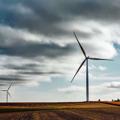 La face cachée de l'économie "verte" est terrifiante...