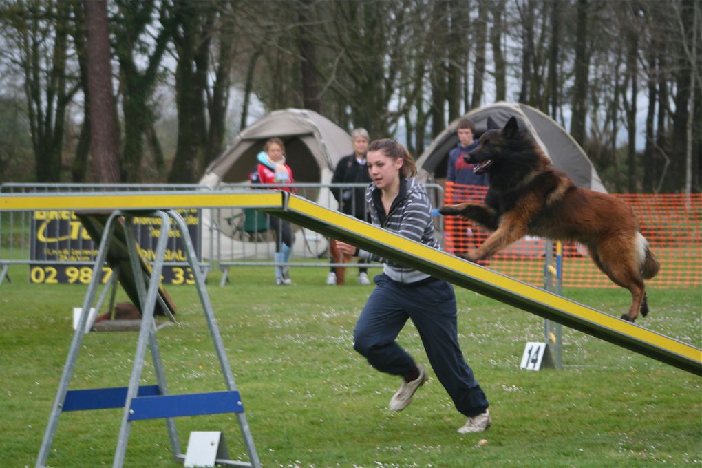 Album - Concours-Agility-La-Martyre-2012--1--partie