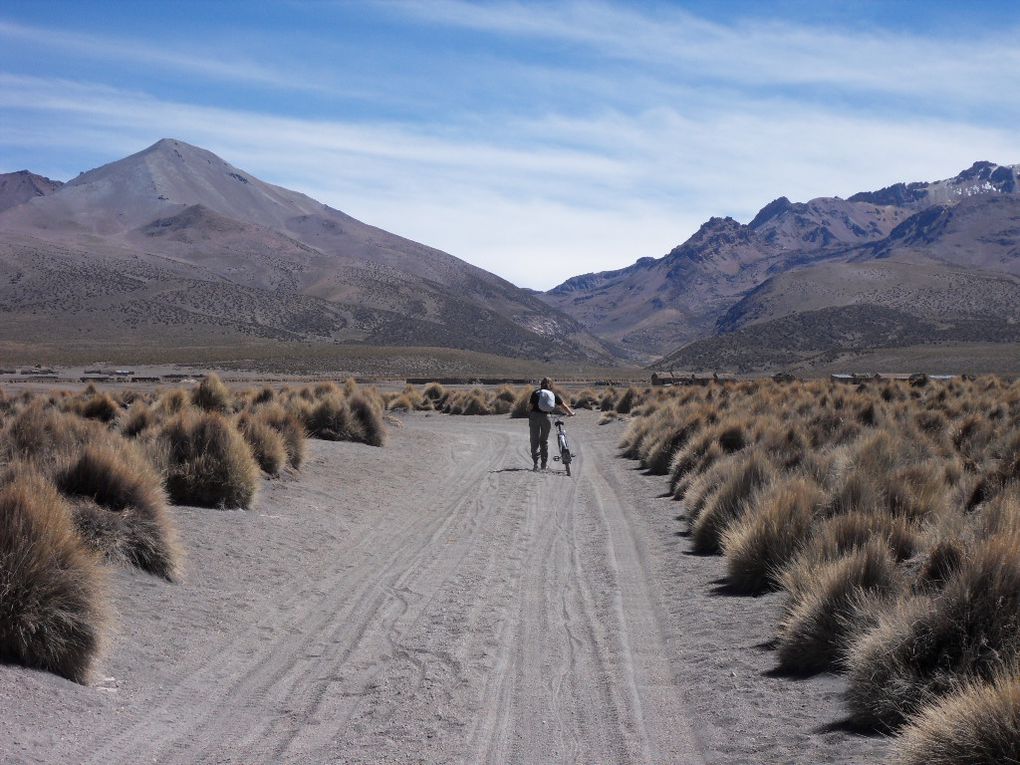 Album - Bolivie