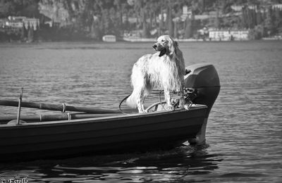 Lac de Côme - Italie 2