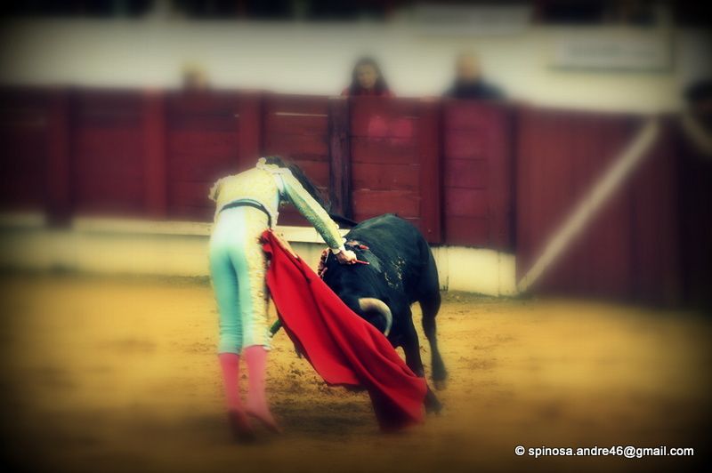 BOUGUE dans les Landes : 22eme BOLSIN