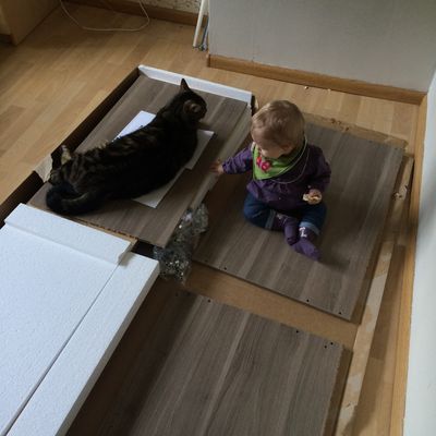 Un bébé, deux chats