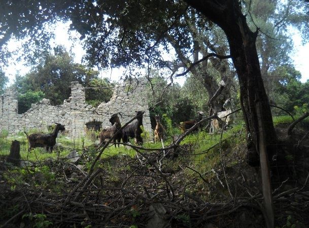 photos diverses de mon village