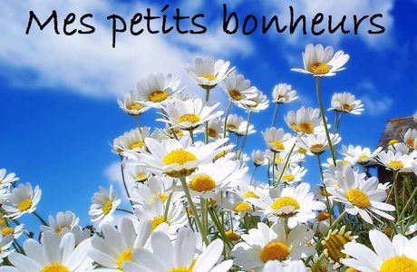 Petits bonheurs # 8