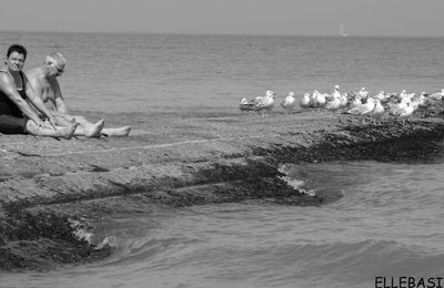 Toi,moi et les mouettes