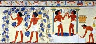 Egypt and wines