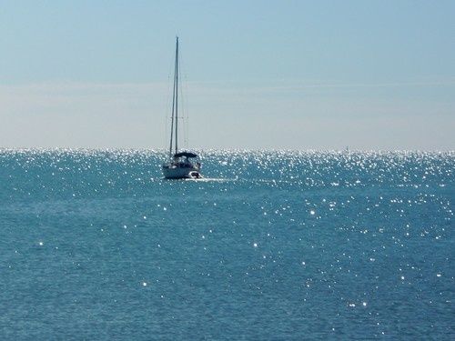 Une journée en Camargue...