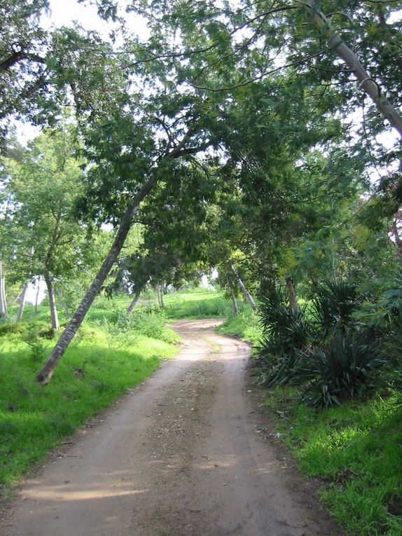 Quelques vues du tracé empruntant les pistes et chemein situés sur le domaine du conservatoire du littoral.