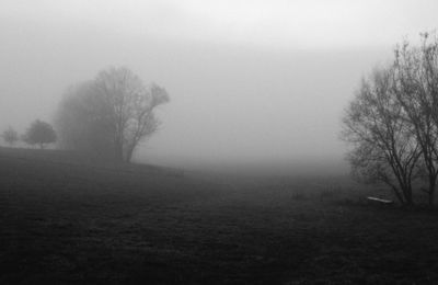 Matinée d'automne