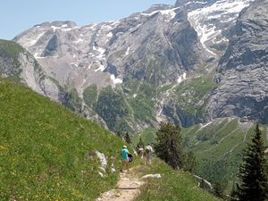 Le Mont Bochor et retour par le sentier panoramique