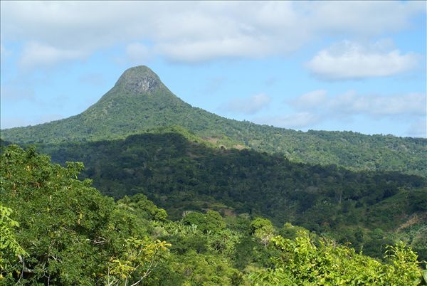 Distillerie d'Ylang, Ngouga le 8 mai...