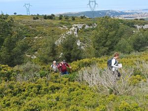 Rando 28/04/25 Escapade Chaine Estaque Ensues