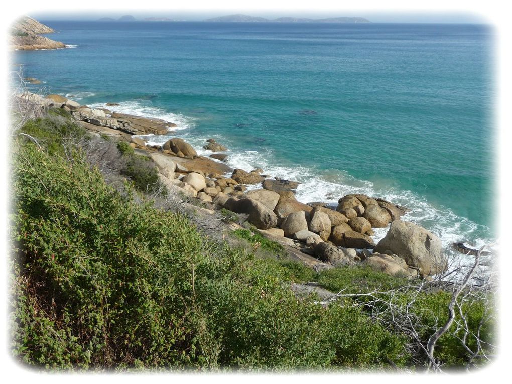 Album - Wilsons-Promontory