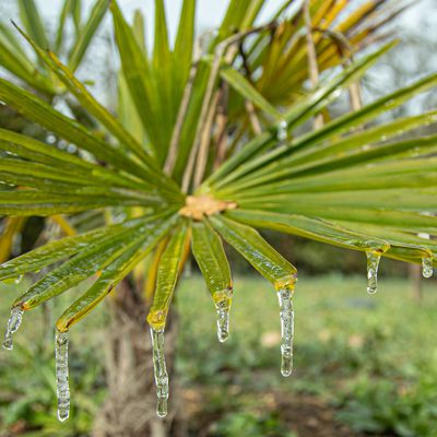 Quand le froid s'installe on découvre les trésor de l'hiver...❄️