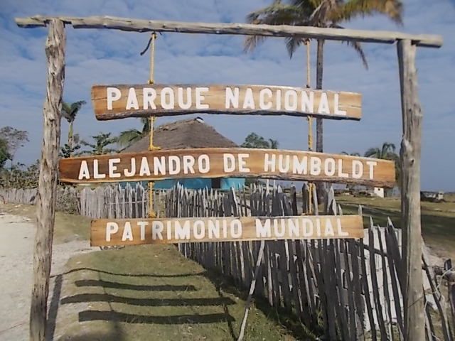 la parc naturel Alejandro Humbolt, le guide doit m envoyer le nom des plantes....baignade au retour a Maguana, les 2 petites baies rouges sont utilisees pour les maracas, l oiseau avec du rouge est le tocororo, oiseau embleme nationale, quand les enfants n avaient pas de cahier ils ecrivaient avec la pointe fournie par un cocotier sur les feuilles vertes les revolutionnaires aussi,  la grenouille est la plus petite du monde, on a pas vu de lamantin dans la baie ou ils se trouvent