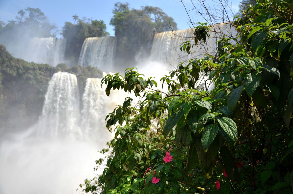 Album - Iguazu-y-Posada
