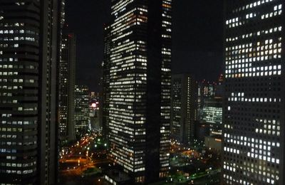 Urbanisme a Tokyo: entre modernite et exces