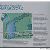 Marais d'Orx