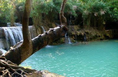 Luang Prabang (Laos part II)