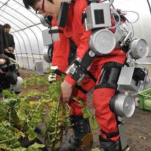 "Robot crop*" au service des jardiniers japonais