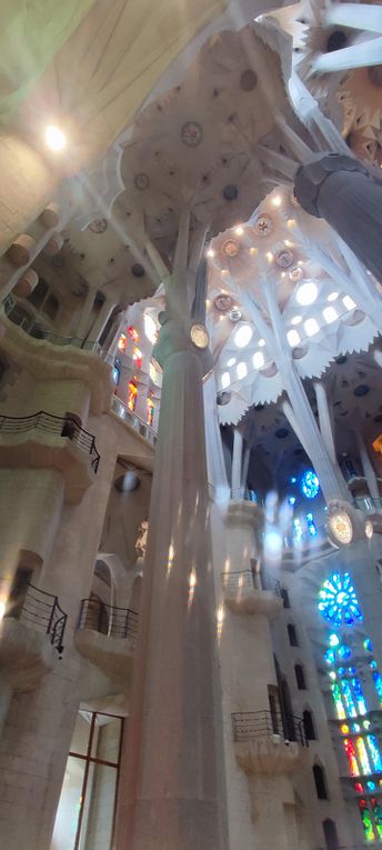 Intercanvi Opció Català St Joseph i Curs Maintenon: Viatge a Barcelona!!!
