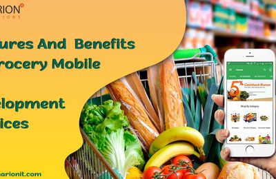 Features and Benefits of Grocery Mobile App Development Services
