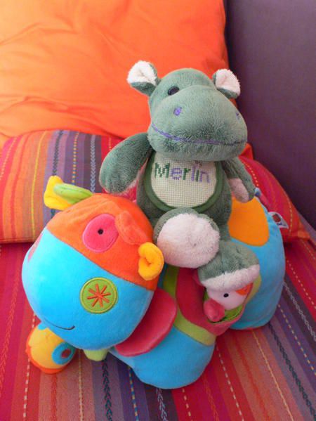 Album - 11-Merlin---Janvier-2009---1