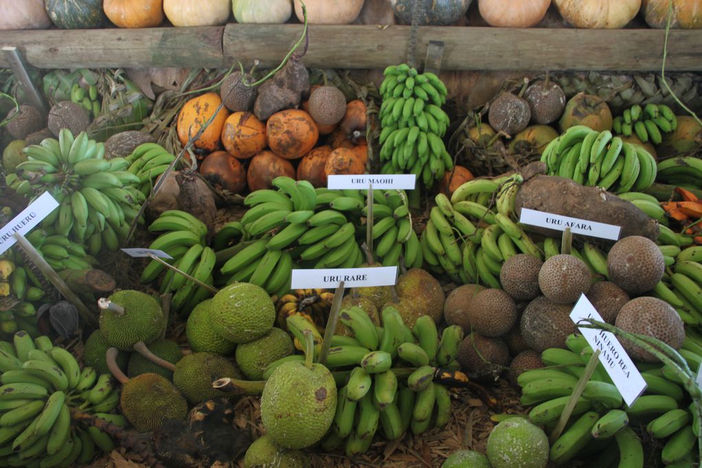 Fruits, légumes, tubercules et aromates de Polynésie