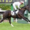 Quinté Lundi à Chantilly : Vieux Moulin tourne bien 