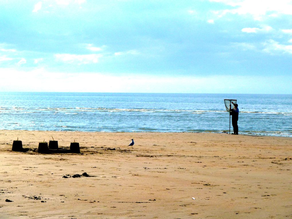 Basse-Normandie,2012