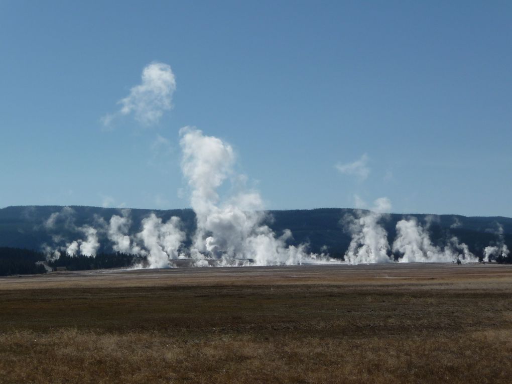 Album - 15.Yellowstone (Wyoming-octobre)