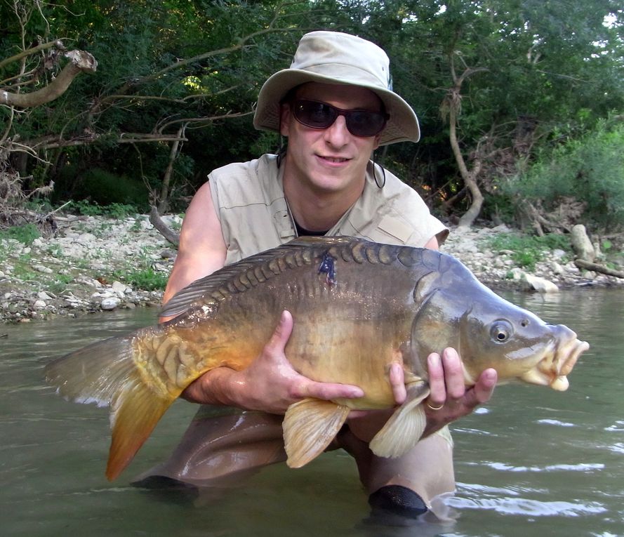 Une série de photos de carpes prise a la mouche